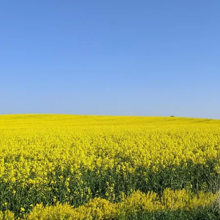 Сasa de vacaciones Entschleunigung Pur - Gemütliche Jurte Im Grünen