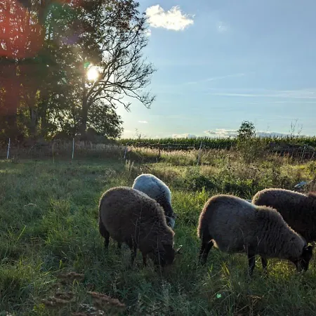 Entschleunigung Pur - Gemütliche Jurte Im Grünen * Lindenberg (Mecklenburg-Vorpommern)