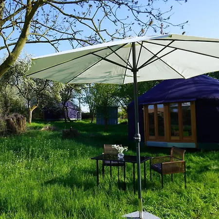 Jurte Mit Kaminofen, Sauna & Sternenhimmel- Hasseldorf 10 *
