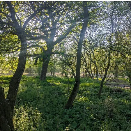 Entschleunigung Pur - Gemütliche Jurte Im Grünen