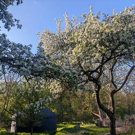 Entschleunigung Pur - Gemütliche Jurte Im Grünen Сasa de vacaciones *