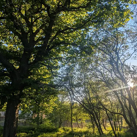 Semesterbostad Jurte Mit Kaminofen, Sauna & Sternenhimmel- Hasseldorf 10 Lindenberg (Mecklenburg-Vorpommern)
