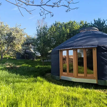 Prázdninový dům Jurte Mit Kaminofen, Sauna & Sternenhimmel- Hasseldorf 10 *