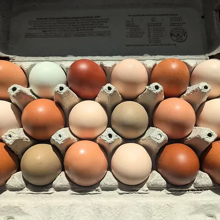 Entschleunigung Pur - Gemuetliche Jurte Im Gruenen Lindenberg (Mecklenburg-Vorpommern)