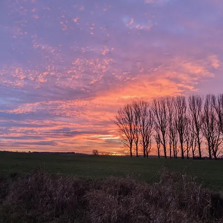 Entschleunigung Pur - Gemütliche Jurte Im Grünen * Lindenberg (Mecklenburg-Vorpommern)