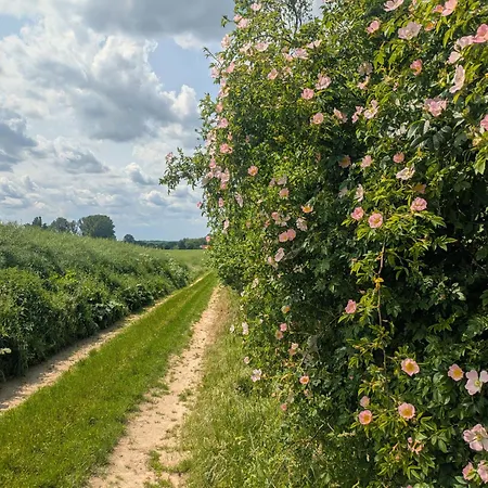 Entschleunigung Pur - Gemütliche Jurte Im Grünen * Lindenberg (Mecklenburg-Vorpommern)