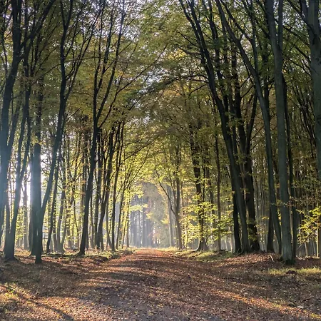 Сasa de vacaciones Entschleunigung Pur - Gemütliche Jurte Im Grünen Lindenberg (Mecklenburg-Vorpommern)