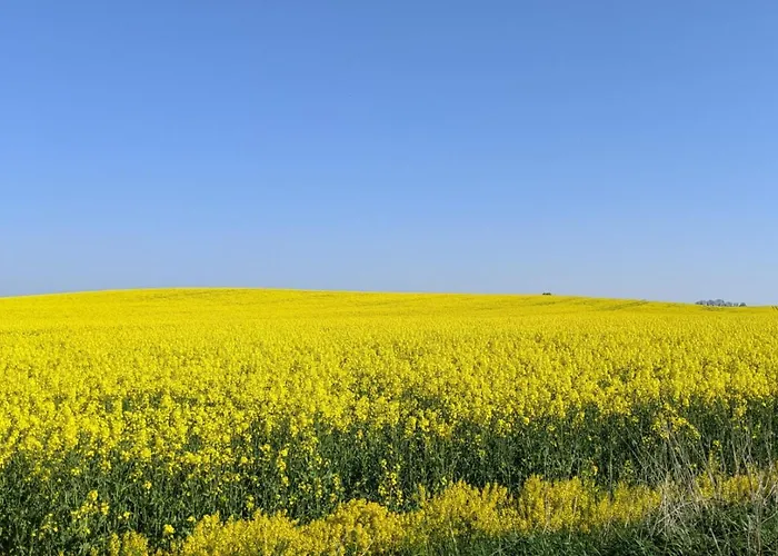 Hébergement de vacances Entschleunigung Pur - Gemuetliche Jurte Im Gruenen