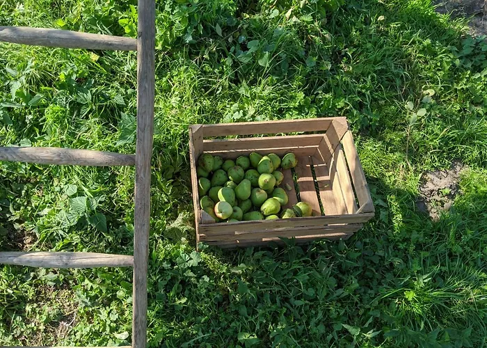 Entschleunigung Pur - Gemuetliche Jurte Im Gruenen