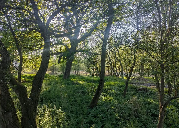 Entschleunigung Pur - Gemuetliche Jurte Im Gruenen
