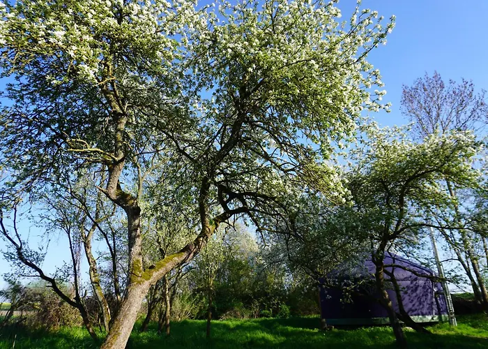 بيت للعطل Entschleunigung Pur - Gemuetliche Jurte Im Gruenen