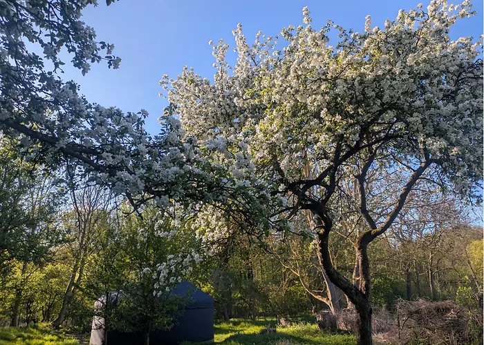 Entschleunigung Pur - Gemuetliche Jurte Im Gruenen بيت للعطل *