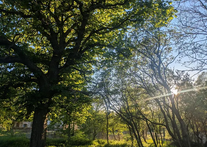 Hébergement de vacances Entschleunigung Pur - Gemuetliche Jurte Im Gruenen Lindenberg (Mecklenburg-Vorpommern)