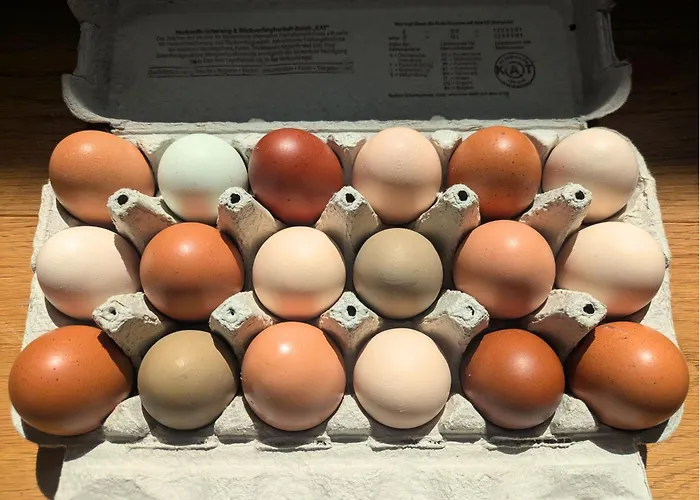 Entschleunigung Pur - Gemuetliche Jurte Im Gruenen Lindenberg (Mecklenburg-Vorpommern)