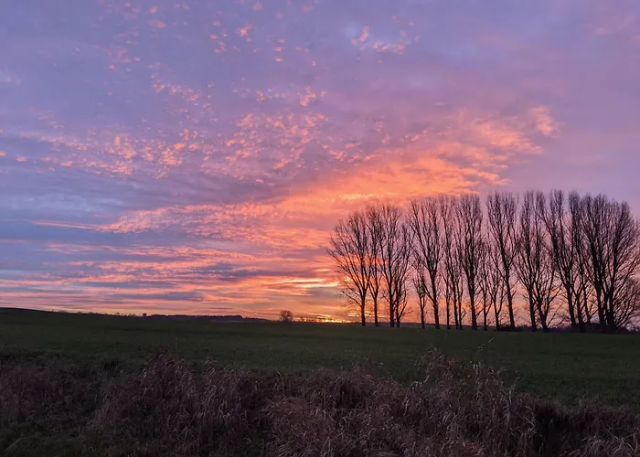 Entschleunigung Pur - Gemuetliche Jurte Im Gruenen * Lindenberg (Mecklenburg-Vorpommern)
