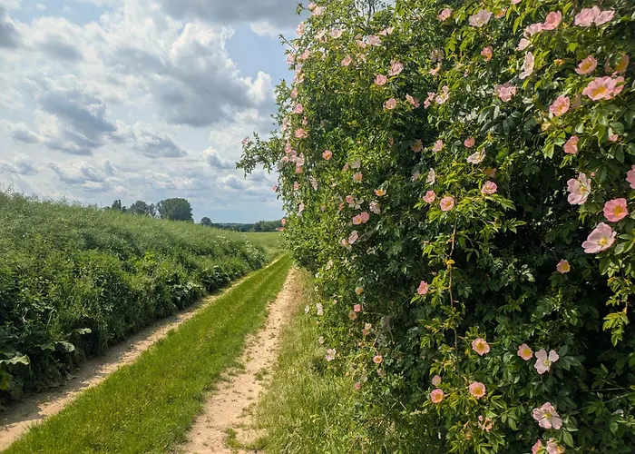 Entschleunigung Pur - Gemuetliche Jurte Im Gruenen * Lindenberg (Mecklenburg-Vorpommern)