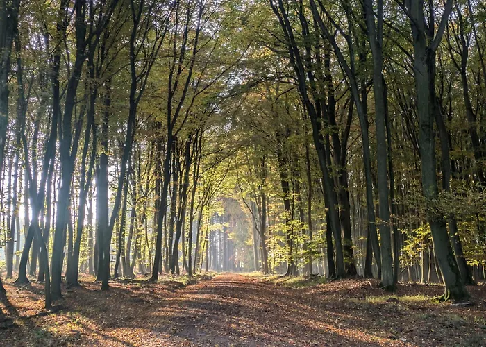 بيت للعطل Entschleunigung Pur - Gemuetliche Jurte Im Gruenen Lindenberg (Mecklenburg-Vorpommern)